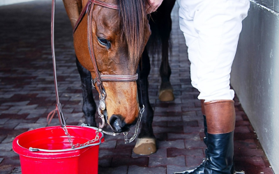 You can lead a Horse to Water … but can you lead a Human to the Water Cooler?